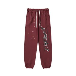 Alternative view of TRACKSUIT SP5DER