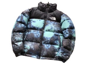 Alternative view of THE NORTH FACE