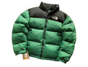 Alternative view of THE NORTH FACE