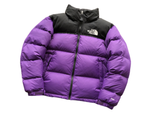 Alternative view of THE NORTH FACE