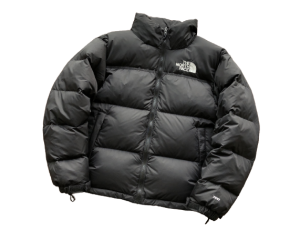 Alternative view of THE NORTH FACE
