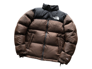 Alternative view of THE NORTH FACE