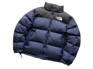 Alternative view of THE NORTH FACE
