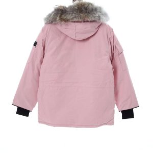 Alternative view of CANADA GOOSE