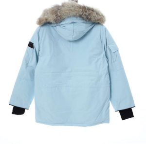 Alternative view of CANADA GOOSE